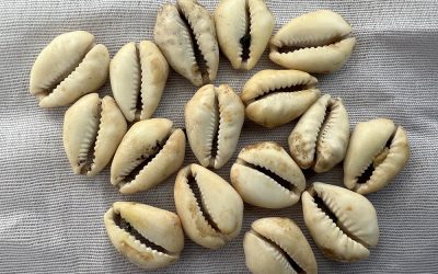 A guide to Itefá, the Yoruba religion initiation into Ifá